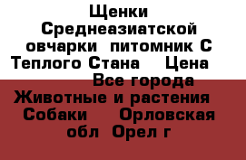 Щенки Среднеазиатской овчарки (питомник С Теплого Стана) › Цена ­ 20 000 - Все города Животные и растения » Собаки   . Орловская обл.,Орел г.